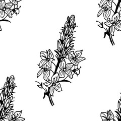 seamless floral pattern with wild flower