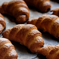 close up of freshly baked crusty croissant on buffet line background. A tray with fresh croissant bread puff pastry at a local bakery