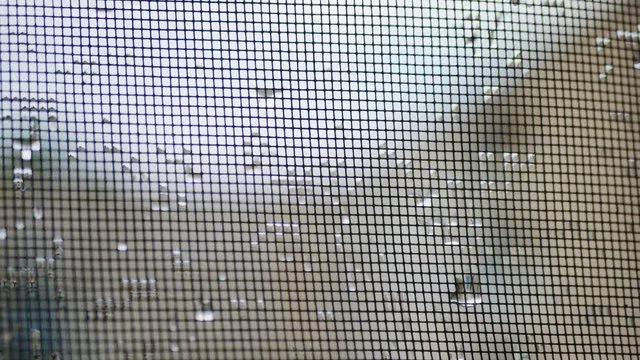 raindrops on mosquito net.mosquito net