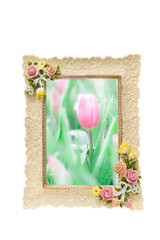 Photo frame with rose texture around border isolated on white and inside with Colorful Tulip flowers meadow Spring nature background for graphic and card design