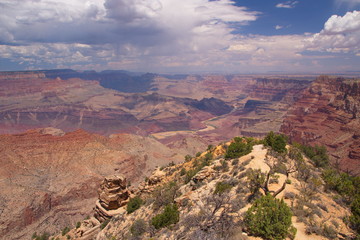 Grand Canyon View