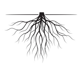 Black Tree Roots. Vector Illustration.