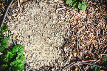 Area of clay with trees and greens.