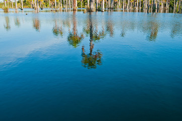 Lagoa das Araras