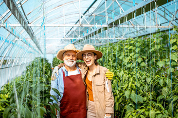 Portrait of a happy young woman with senior grandfather standing on a agricultural farm with sweet pepper plantation. Concept of a small family agribusiness