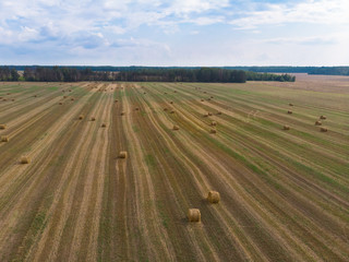 Fields. They harvest wheat and rye, collected in stacks. Photo from quadcopter. Autumn harvest. The concept of modern agriculture. Sky view.