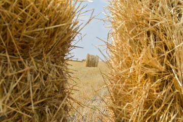  Haystack with front palane in blur of haystacks