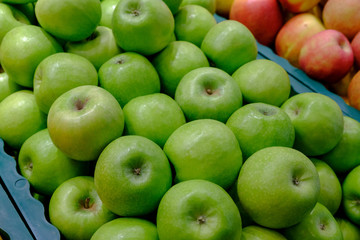 many green and red apples in boxeson the shop counter 