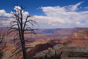 Great Canyon View