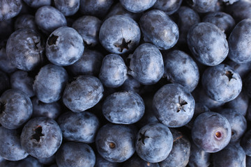 Ripe Fresh Blueberries