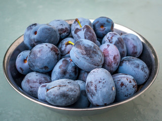 Im Sommer kommen die frischen reifen Pflaumen direkt vom Baum aus dem eigenen Garten 