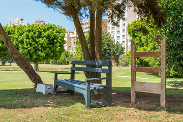Green empty wooden bench in shadow of tree in urban park on sunny summer day
