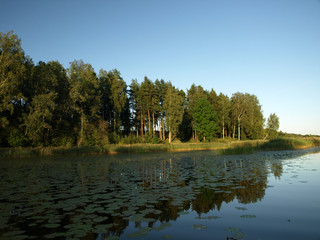 beautiful summer landscape with calm lake, meadows, forest, blue sky and glare
