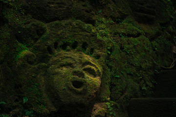Carving demons faces on wall background covered with moss texture in Bali