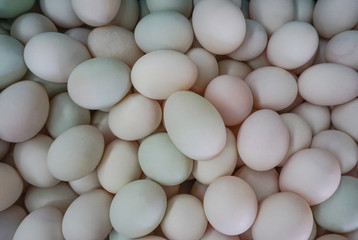 Fresh duck eggs from farm for wholesale at egg market,top view pattern background