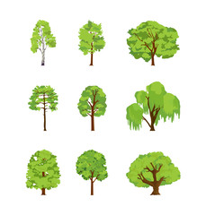 Cartoon trees differents birch poplar elm chestnut willow maple linden. Crown of the tree leaf for game design or landscape nature vector  - obrazy, fototapety, plakaty