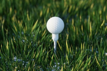 white golf ball on the green grass ground