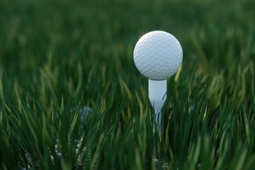 white golf ball on the green grass ground