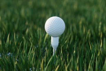 white golf ball on the green grass ground