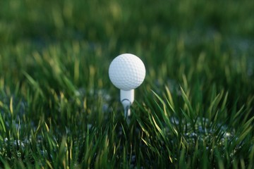 white golf ball on the green grass ground
