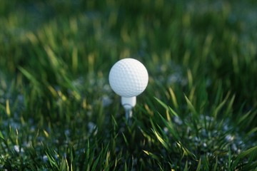 white golf ball on the green grass ground