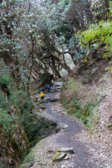 Annapurna Base Camp Trekking. The spectacular trekking trails in Nepal