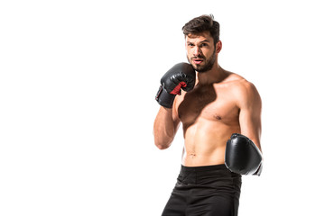 handsome muscular Boxer looking at camera Isolated On White with copy space