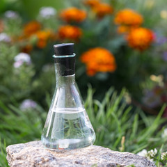 Clear water in a flask on the lawn in flowers. Water sample for environmental experiment. Summer season.  