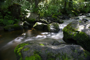 Wild River in the woods of the Ravennaschlucht