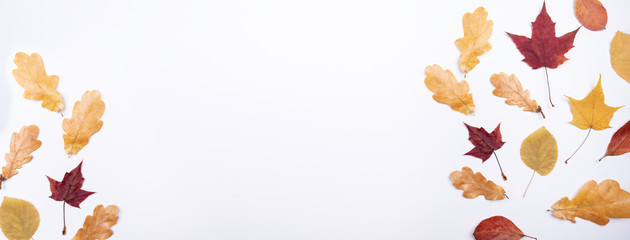 Autumn composition Dry autumn leaves on white background Back to school concept Season school theme Horizontal banner Flat lay, top view, copy space