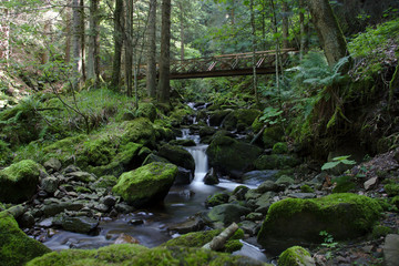 Wood Bridge over wild river in the Ravennaschlucht