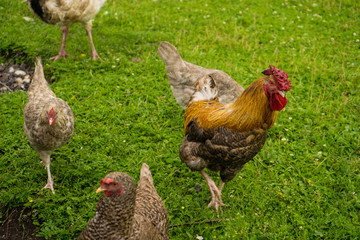 х слов Открыть страницу  Удалить  Отменить  Повторить  Сохранить