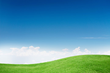 Green Grass Texture with Blang Copyspace Against Blue Sky
