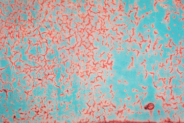 Old grungy cracked blue weathered wall paint peeling off rusted coral metal sheet. Textured trendy background for posters and bloggers