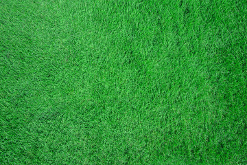 green grass texture background