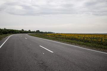 The road from the pavement along the field of sunflowers