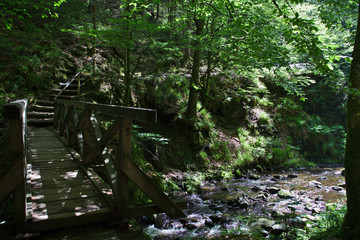 Bridge with river and stairs in the forest of the ravennaschlucht