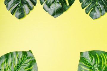 Flatlay composition of giant monstera leaves against light green background, tropical concept, copy space for text