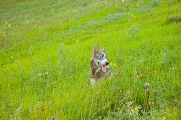 Fototapeta premium my photos