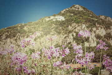 View of Circeo mountain - National Park - Latina Italy