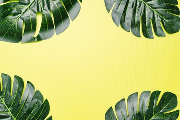 Fototapeta na wymiar Flatlay composition of giant monstera leaves against light green background, tropical concept, copy space for text