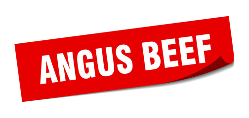 angus beef sticker. angus beef square isolated sign. angus beef