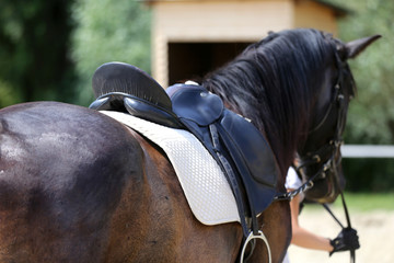 Closeup of a leather saddle for equestrian sport on horseback