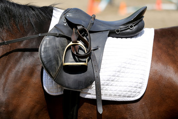 Closeup of a leather saddle for equestrian sport on horseback