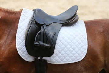 Closeup of a leather saddle for equestrian sport on horseback
