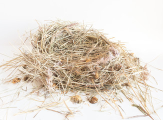 Dry hay isolated. A pile of straw on a white background. The dry grass is folded in the shape of a nest