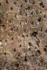 Old Weathered Damaged Natural Stone Texture