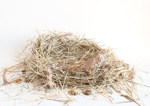 Dry hay isolated. A pile of straw on a white background. The dry grass is folded in the shape of a nest