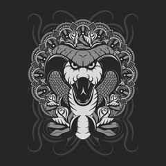 SILVER COBRA SHOWING FANGS