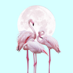 moon and flamingo background design in light pink and turquoise colors, can be used as background, wallpaper © Kanea